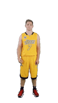 Basketball Power Sticker by ACSL - Austrian College Sports League