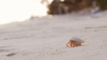 Summer Beach GIF by DEEPSYSTEM