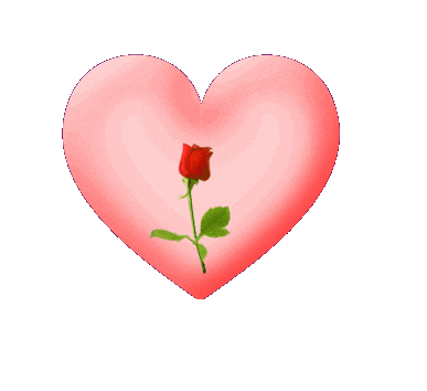 rose city STICKER