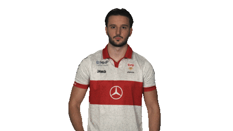 Proud Vfb Stuttgart Sticker by Bundesliga