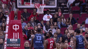 celebrate lets go GIF by NBA
