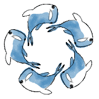 Whale Shark Fresco Sticker