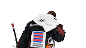 La Roche Sur Yon Landon Sticker by Hockey Glace Yonnais