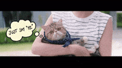 à¸à¹à¸²à¸à¸«à¸¥à¸±à¸à¹à¸«à¸¡à¹ hello GIF by SC Asset