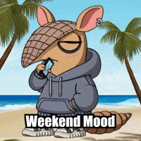 Beach Weekend GIF by Chillo Dillo