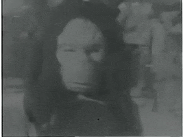 scottok halloween home movies GIF