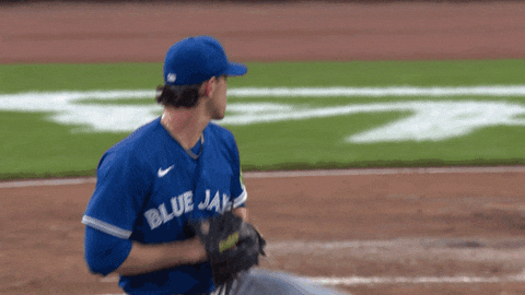 Blue Jays Baseball GIF by Toronto Blue Jays