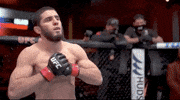 Islam Makhachev Sport GIF by UFC