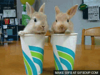 twin GIF