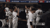 sf 137 GIF by MLB