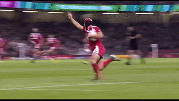 happy mood GIF by World Rugby