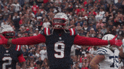 Football Celebration GIF by New England Patriots