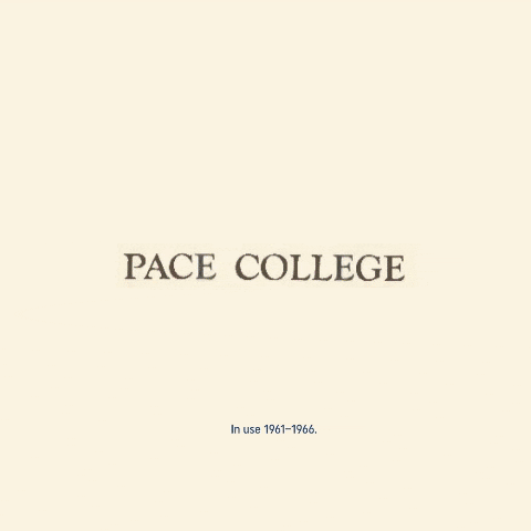 Paceu GIF by Pace University