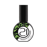 21Inibiodor Sticker by Nails21