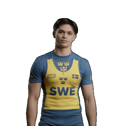 Sweden Bench Sticker by SBDApparel