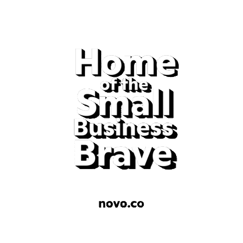 NovoPlatformInc small business brave novo novohq Sticker