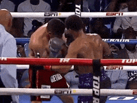 toprank fight boxing fighting espn GIF