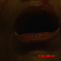 horror night of the virgin GIF by Shudder