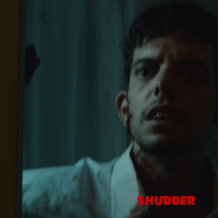 horror night of the virgin GIF by Shudder