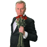 Rte Ireland Rose Sticker by RTÉ