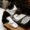 GIF by Production Club