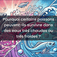 Poissons GIF by ExpliquePourquoi.com