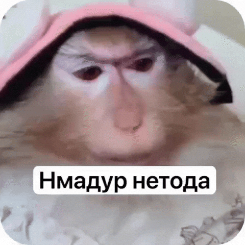 Monkey GIF