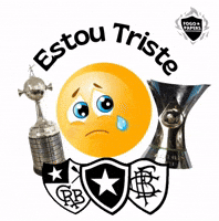 Libertadores Vasco GIF