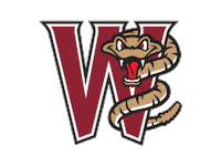 Minor League Baseball Sticker by Wisconsin Sportscenter