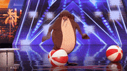 Agt GIF by America's Got Talent