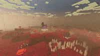 A World Of Wonder