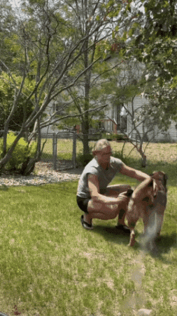 Your GIF