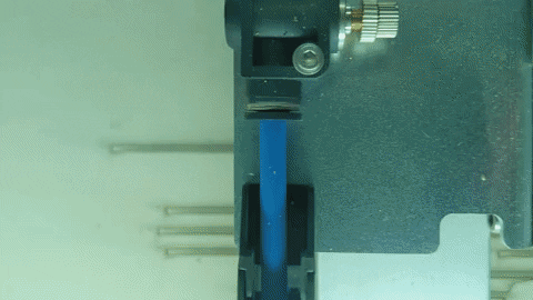 LauBLau giphyupload GIF