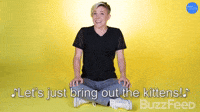 Bring Out The Kittens