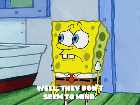 season 5 new digs GIF by SpongeBob SquarePants