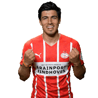 Football Celebrate Sticker by PSV