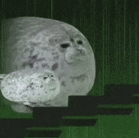 Dog Stairs GIF