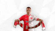Football Sport GIF by SK Slavia Praha