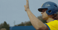 BlueHens baseball together teamwork teammates GIF