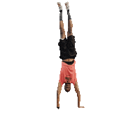 Pole Vault Spirit Sticker by Gill Athletics