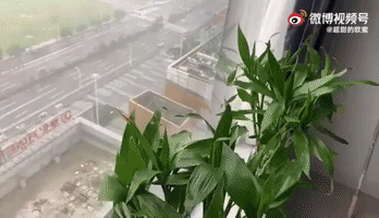 Typhoon Chanthu Brings Heavy Rainfall to Ningbo in China's Zhejiang Province