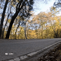 Fast Car GIF by FIA World Rally Championship