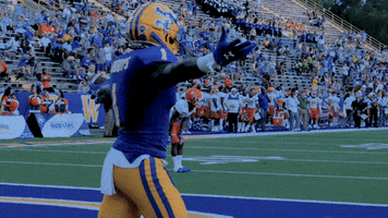 Celebrate College Football GIF by McNeese Athletics