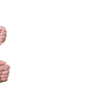 wernerharrer wernerharrer lichtmalermeister GIF