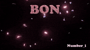 花 Cherry Blossoms GIF
