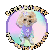 Friendlyfaiththemorkie Sticker by Pimp Yo Pets