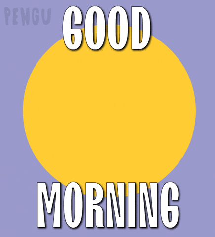 Happy Good Morning GIF by Pudgy Penguins