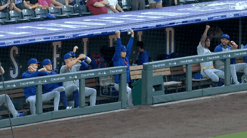 Baseball Celebrate GIF by New York Mets
