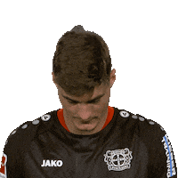 Bayer 04 Hello Sticker by Bundesliga
