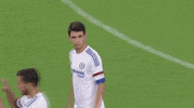 2015 icc GIF by International Champions Cup